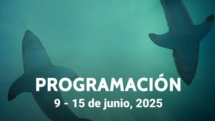 Cartelera Cultural